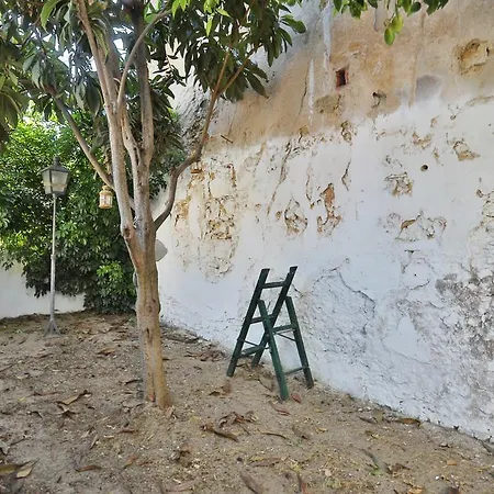 Charming Patio-vila Se Apartment Lisbon
