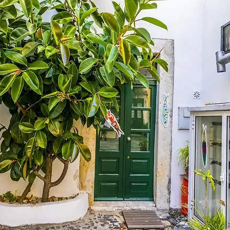 Charming Patio-vila Se Appartamento Lisbona